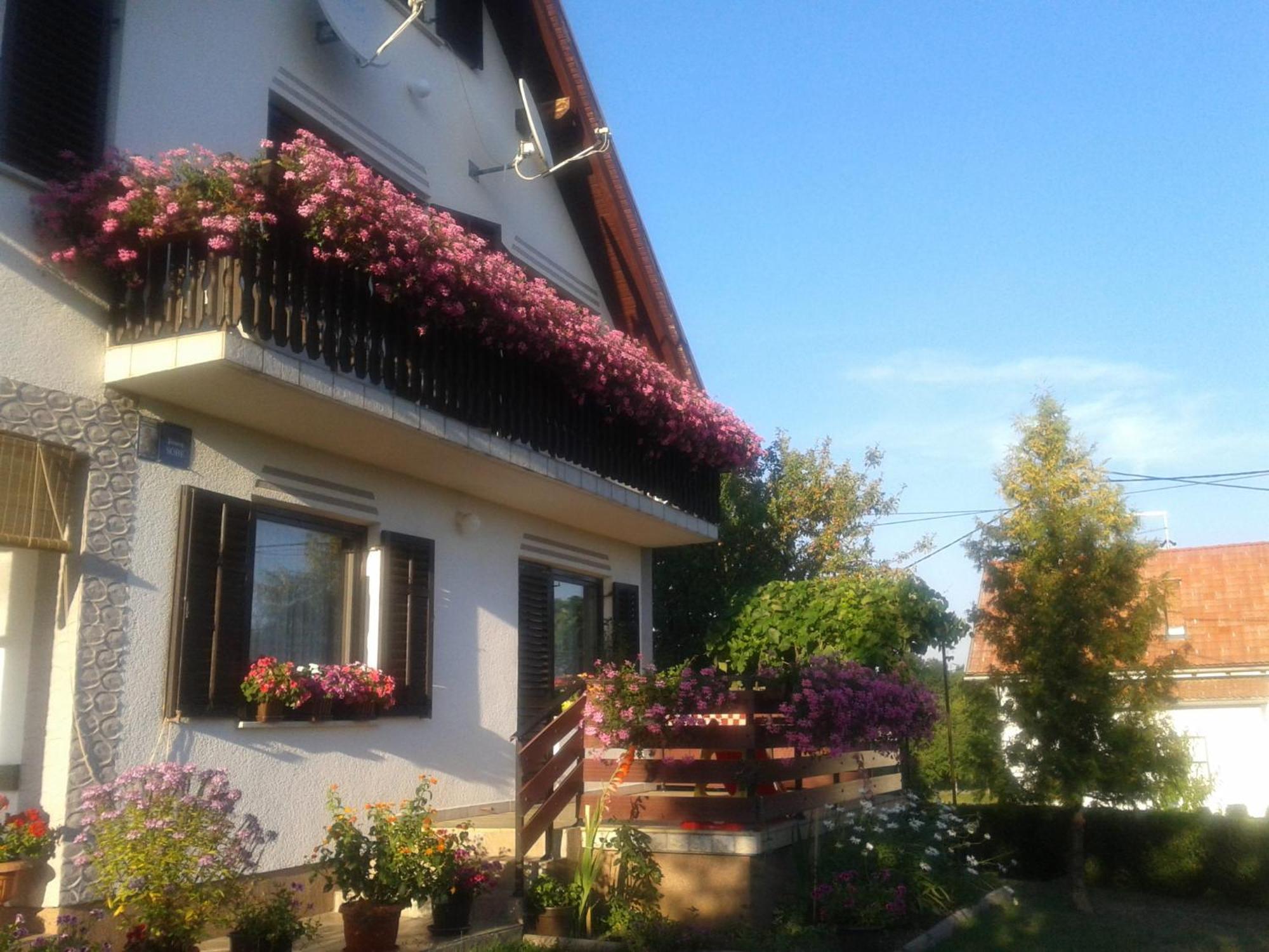 Guest House Adrijana Selište Drežničko Extérieur photo