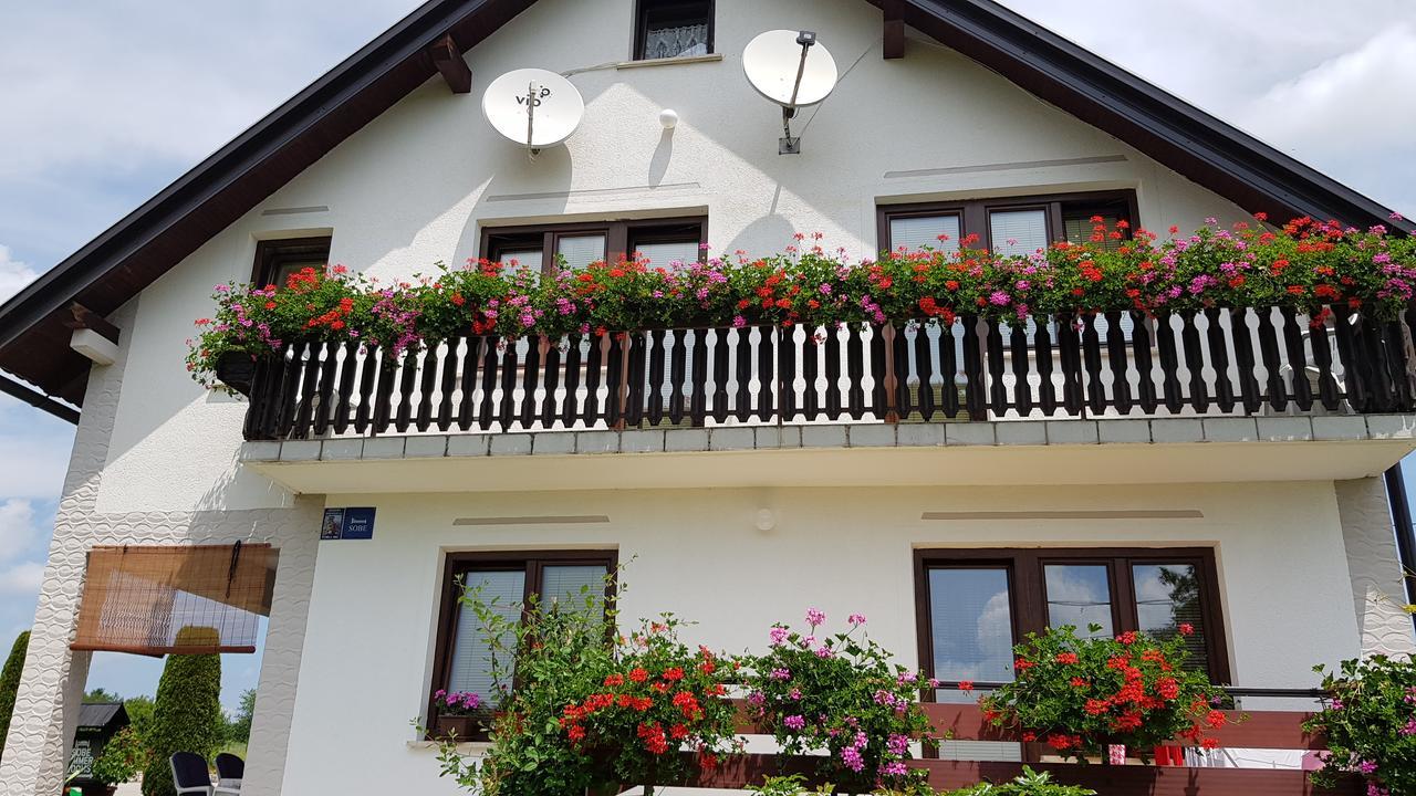Guest House Adrijana Selište Drežničko Extérieur photo